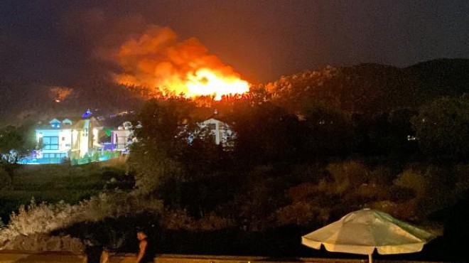 Fethiye de orman yangını:  Molotof atıldı  iddiası!
