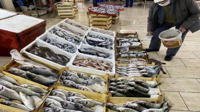Foça da kaçak av tepkisi: Balıklar büyümeden yakalanıyor