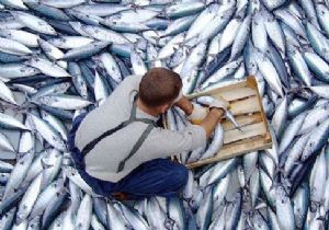 İzmirli balıkçılar borç erteleme istiyor 