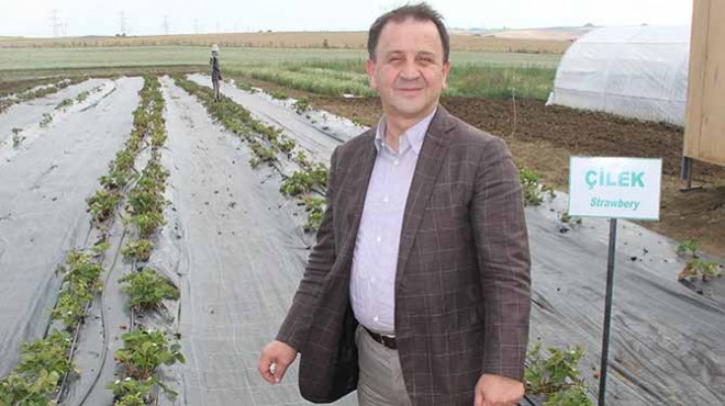 Grand Plaza’ya atanan Işıklar: İzmir tarım ve gıdanın silikon vadisi olacak