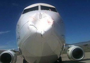THY uçağında panik: Kuş sürüsü çarptı