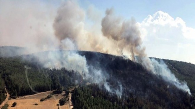 İzmir de ağaçlandırma sahasında yangın