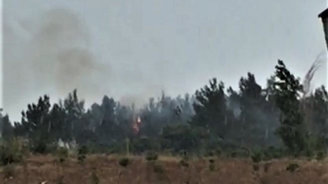 İzmir de ağaçlık alana düşen yıldırım nedeniyle yangın çıktı