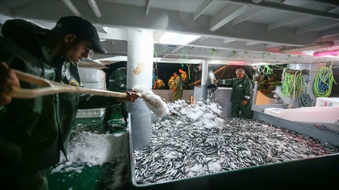 İzmir de balıkçılar sezonu umutlu açtı