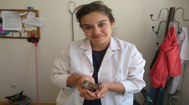 İzmir de bir vatandaş yaralı bulduğu kuşu tedavi ettirdi