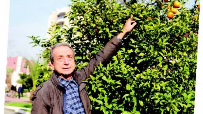 İzmir de çevre mücadelesinde mutlu son... O,  Zeytin in Hakimi 