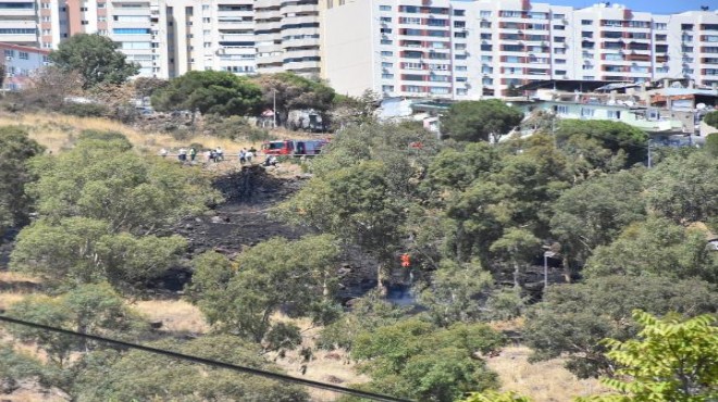 İzmir de iki haftada iki yangın: Kim yakıyor askeri alanı?