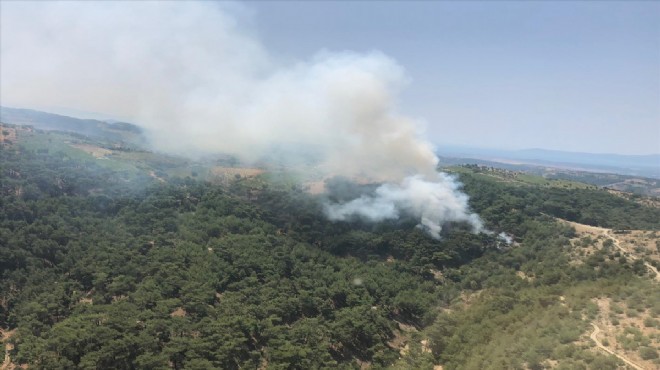 İzmir de korkutan orman yangını