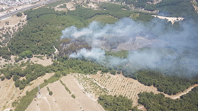 İzmir’de korkutan orman yangını! Bir anda büyüdü