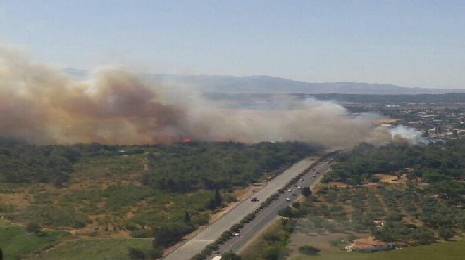 İzmir de korkutan yangın: 10 hektar kül oldu!
