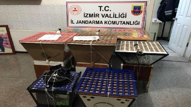 İzmir de kumar operasyonunda 46 kişiyle ceza uygulandı