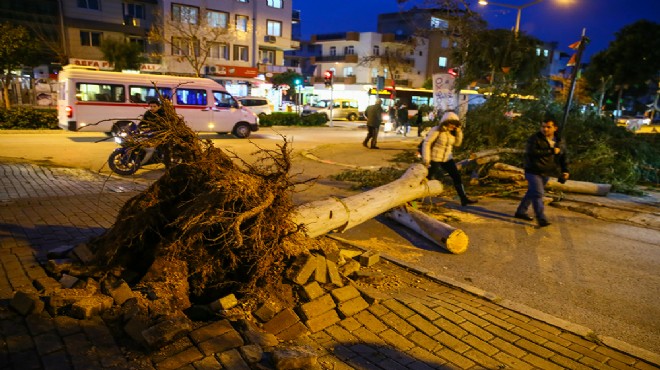 İzmir de lodos alarmı! Ağaçlar devrildi, çatılar uçtu!