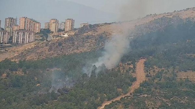 İzmir de ormanı yaktı... Neron her yerde aranıyor