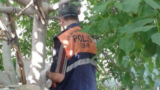 İzmir de sır intihar: Kendisini tarladaki ağaca astı!