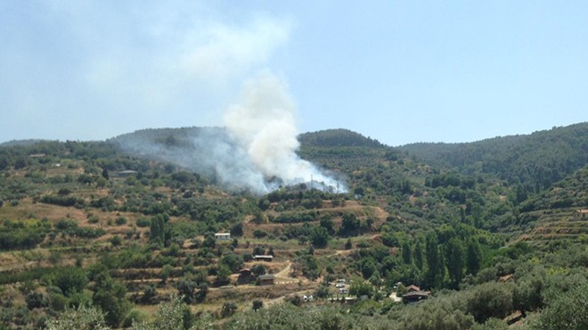 İzmir de zeytinlik alanda yangın