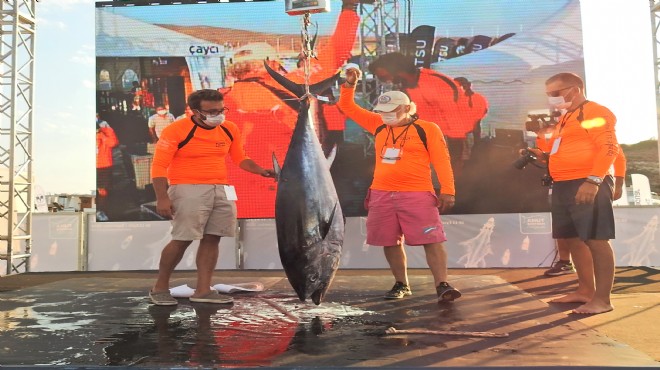 Balıkçılık turnuvasında 86 kiloluk orkinos