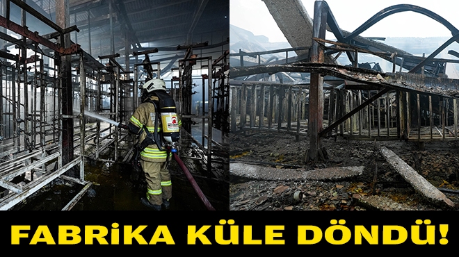 İzmir'deki fabrika yangınından kareler!