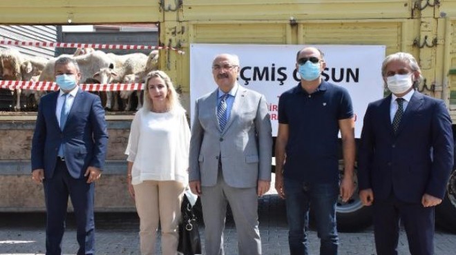 İzmir den afetzedelere canlı hayvan ve yem bağışı