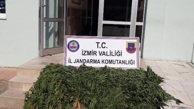 İzmir in 25 ilçesinde uyuşturucu denetimi