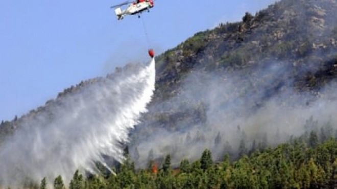 İzmir in 3 ayrı ilçesinde orman yangını!