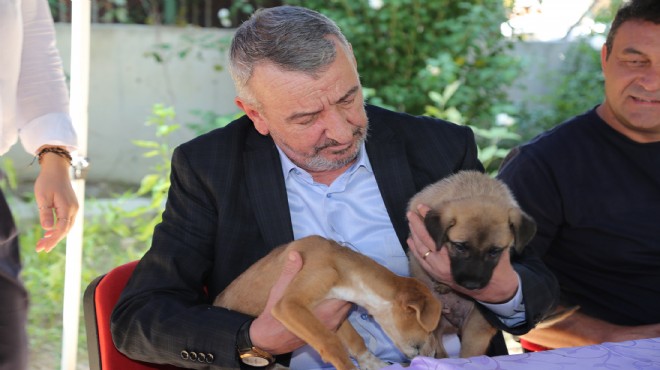 İzmir in hayvansever belediye başkanından  sahiplenme  çağrısı