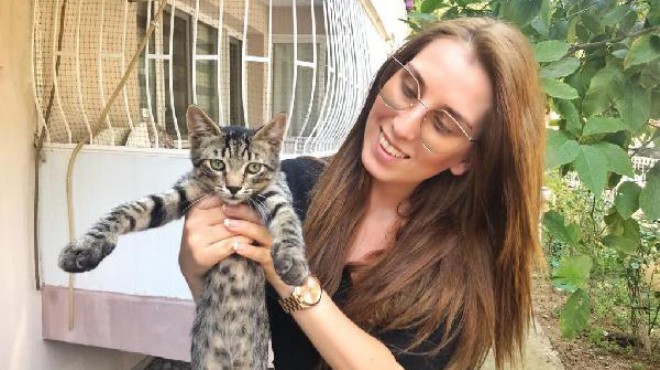 İzmir in kedi dedektifi: İşkence yapanları sokak sokak arıyor!