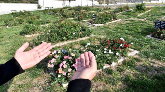 İzmir in mülteci mezarlığı: 412 numaralı ada