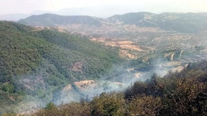 İzmir in o ilçesinde orman yangını!