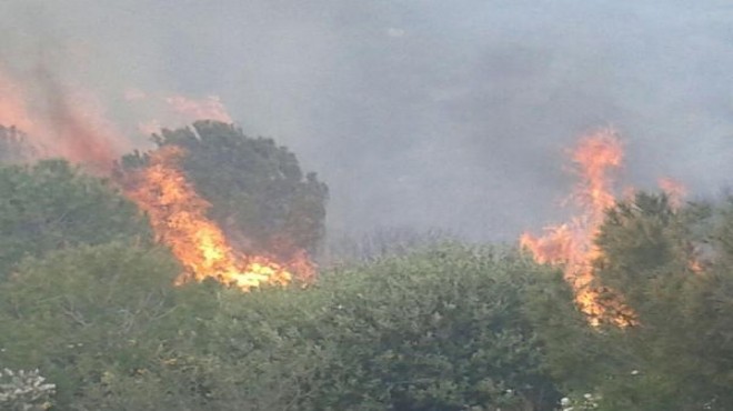 İzmir’in turistik ilçesinde korkutan yangın