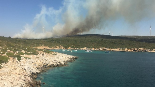 İzmir in turistik ilçesinde orman yangını çıktı!