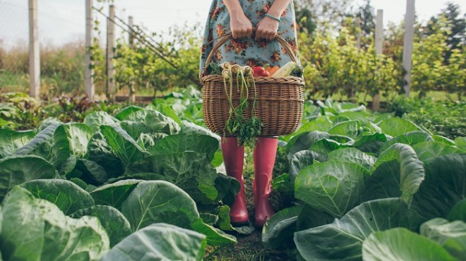 İzmir Ticaret Borsası’ndan Tarım Bakanlığı’na ‘organik tarım’ uyarısı!