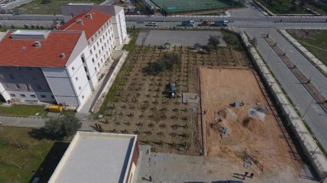 İzmir ve Manisa da okul bahçeleri yeşerecek