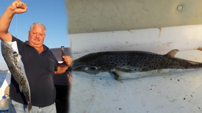 İzmirli avcının oltasına 3 kiloluk balon balığı takıldı