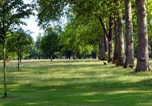Londra’nın yeşil yüzü Karşıyaka’ya taşınıyor: Halk Park!
