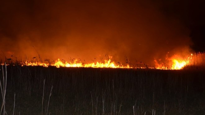 Karadeniz deki yangınlarla ilgili  sabotaj  açıklaması!