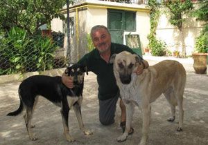 İzmir’de sokak köpeklerine kilise sahip çıktı