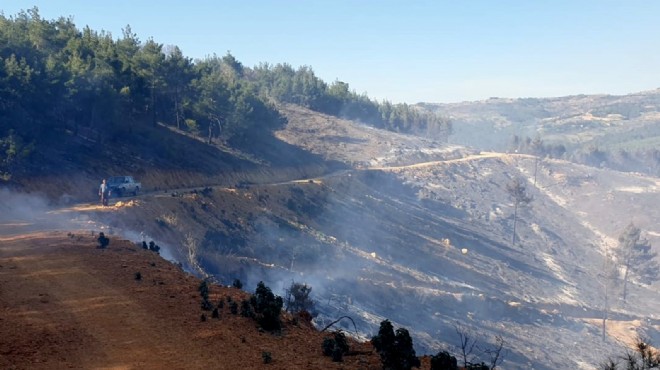 Kütahya da orman yangını: 10 hektarlık alan zarar gördü