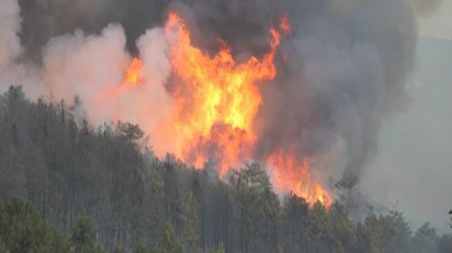 Kütahya daki orman yangını tekrar başladı