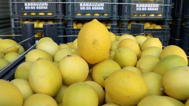 Limonda üretici-market farkı 6,5 kat!
