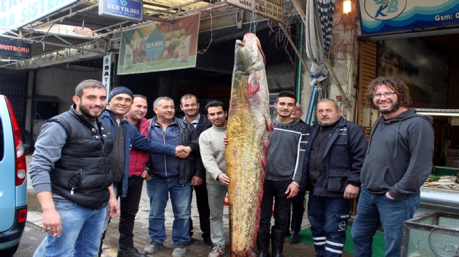 Manisa da 80 kiloluk yayın balığı yakalandı
