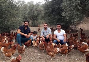 Üniversiteli genç girişimcilerden yumurta çiftliği