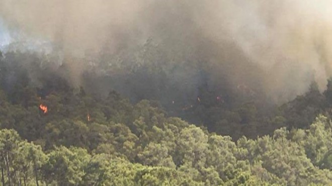 Fethiye deki yangında 1 hektar ormanlık alan kül oldu