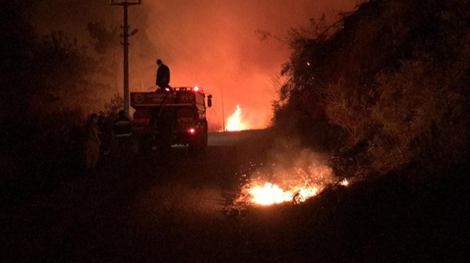 Orman yangını mahalleye sıçradı: 3 ev yandı