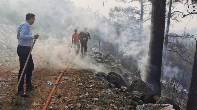 AK Partili Kaya orman yangınları için net konuştu: 1 metrekare bile imara açılmaz!
