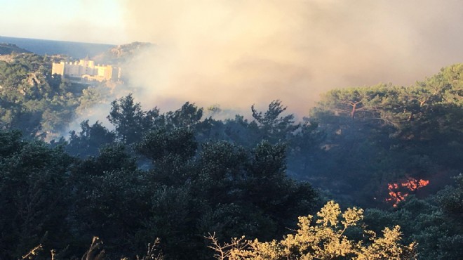 Ortaca da orman yangını: İki hektar kül oldu!