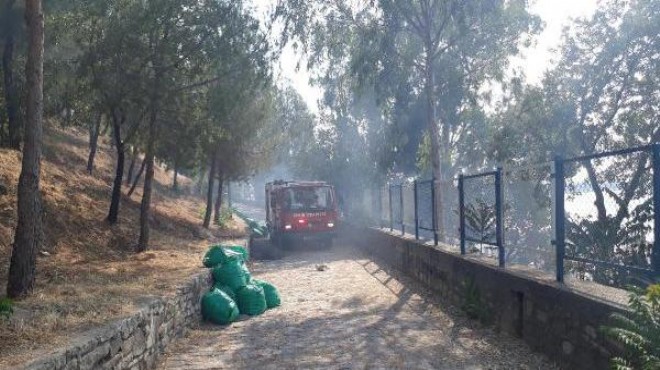 Parktaki yangın vatandaşları korkuttu