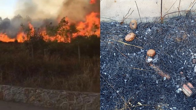 Patates közlerken ormanı yaktılar!