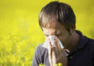 Dikkat polenler ölüme neden olabilir!