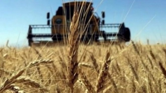 Rus buğdayı ile ilgili Türkiye den kritik karar