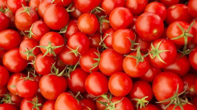 Rusya domates için tarih verdi